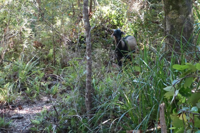 wp-1415857880870 image