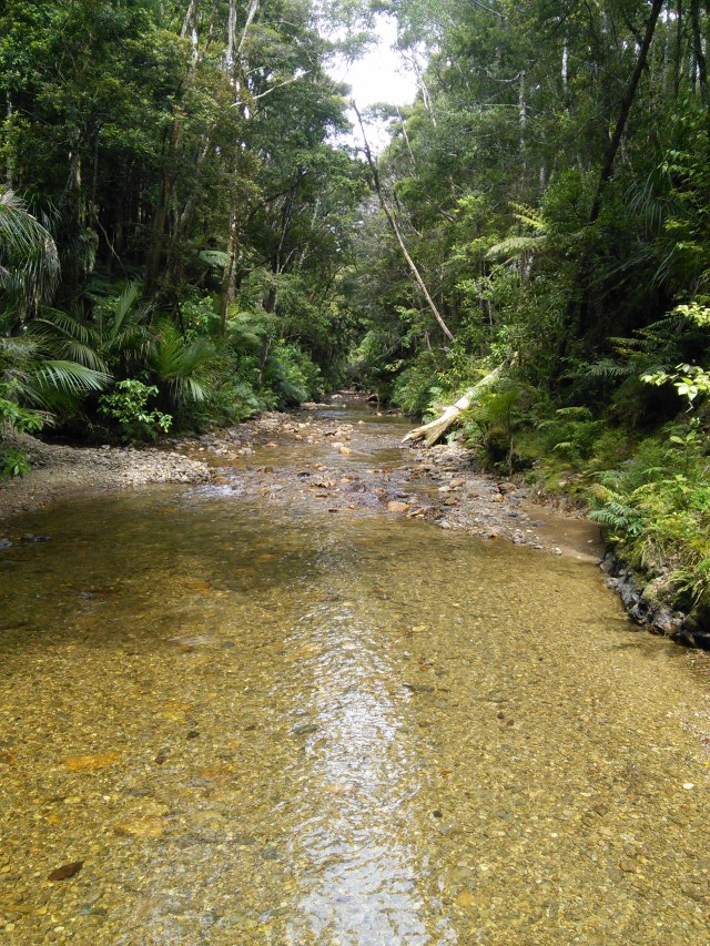 wp-1416190703806 image