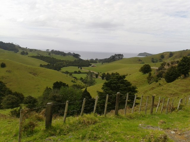 wp-1416205045664 image