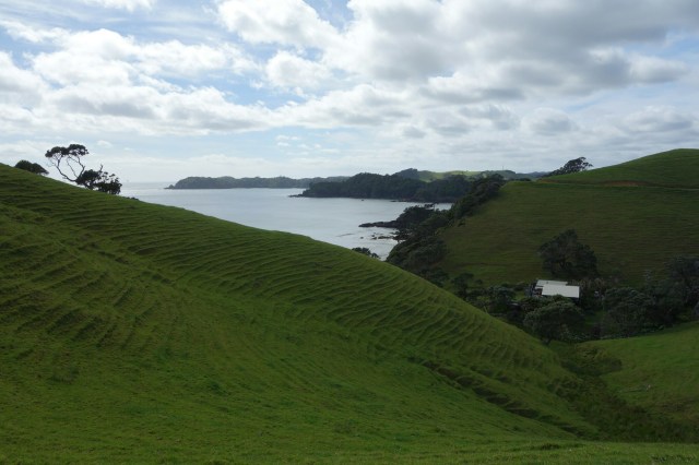 wp-1416451154862 image