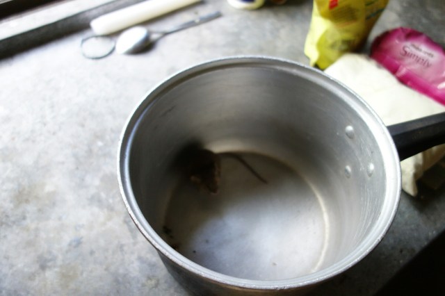 wp-1422600074659 image