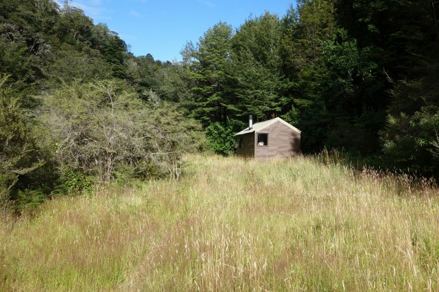 wp-1422600676597 image