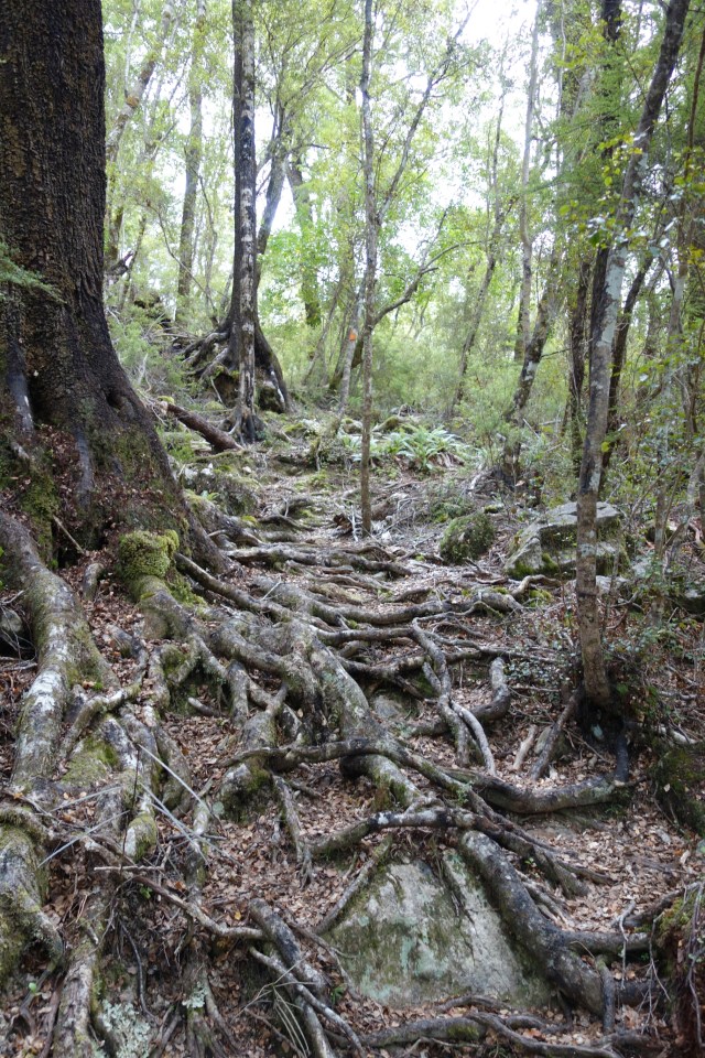 wp-1422601068945 image