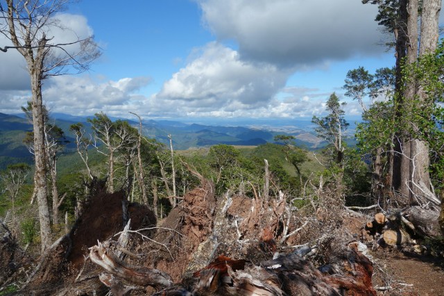 wp-1422605444358 image