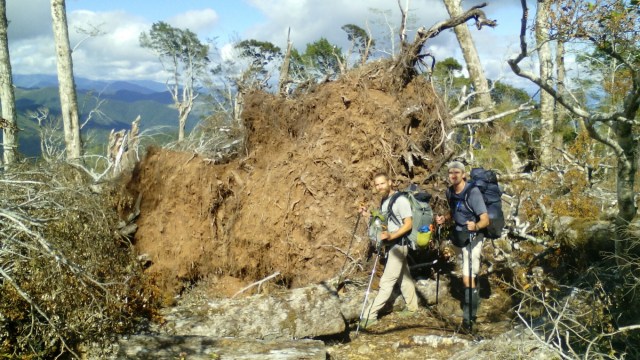 wp-1422605493095 image