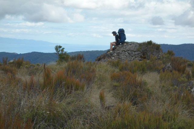 wp-1422605537102 image