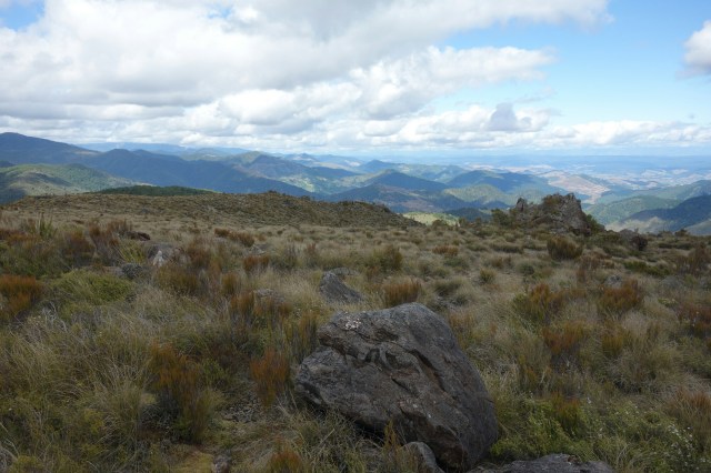 wp-1422605710389 image