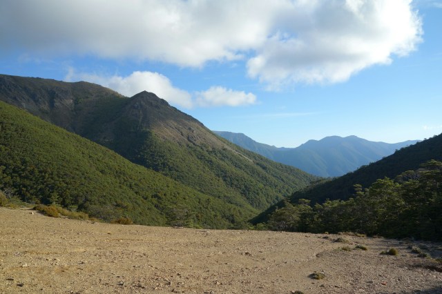 wp-1422605768828 image