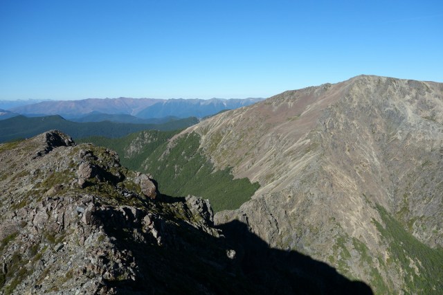 wp-1422675230880 image