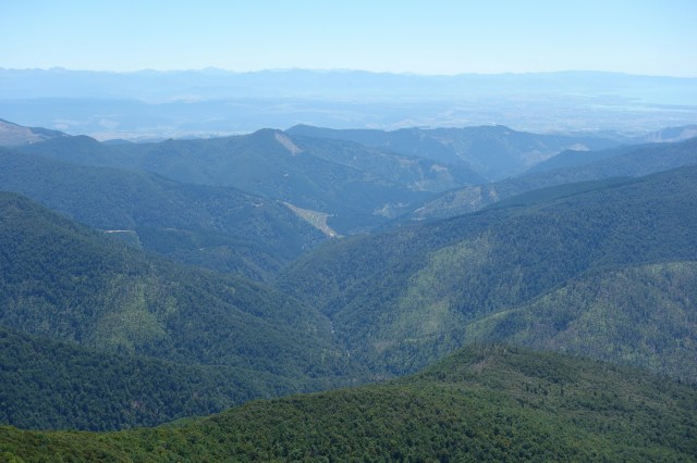 wp-1422675451986 image