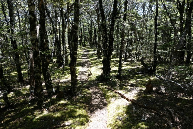 wp-1422675959013 image