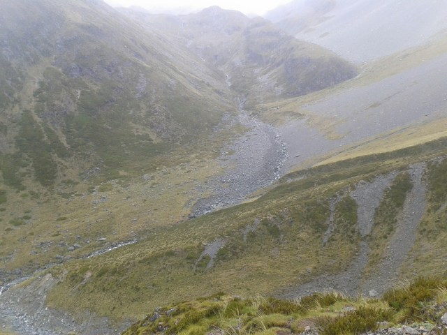 wp-1423464811547 image