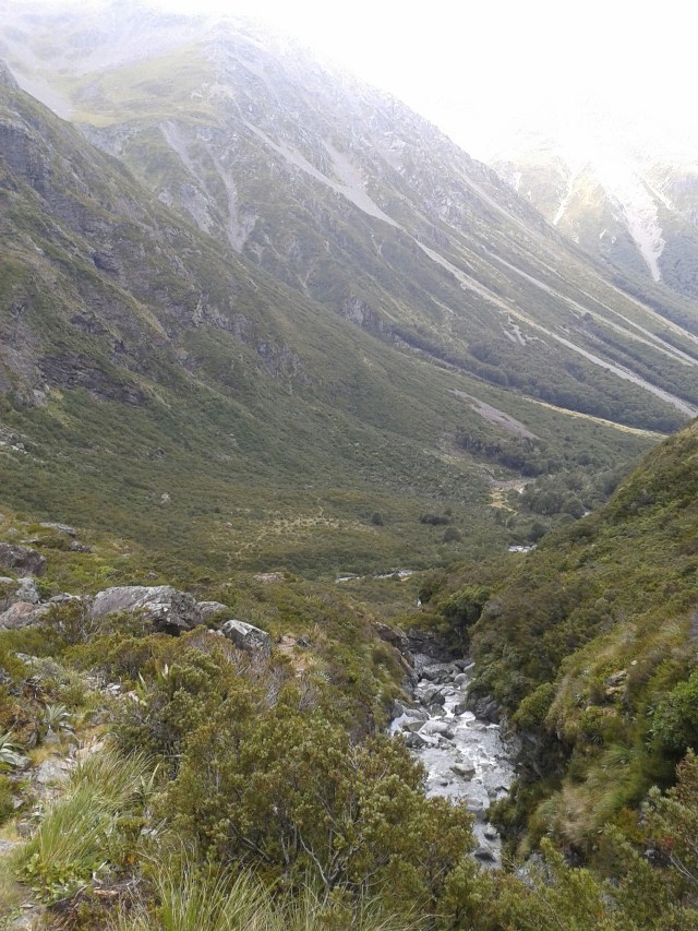 wp-1423464887356 image