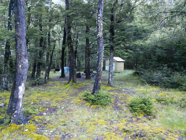 wp-1423552919266 image