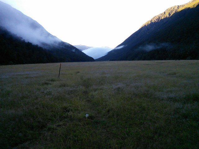 wp-1423552961284 image