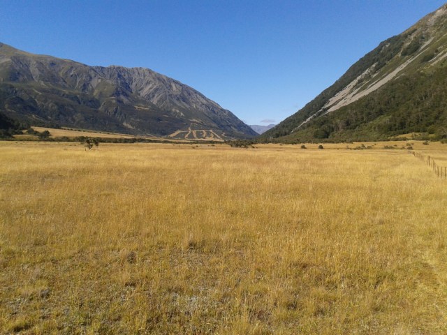 wp-1423553066379 image