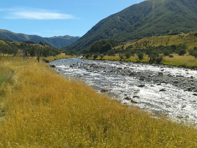 wp-1423553093577 image