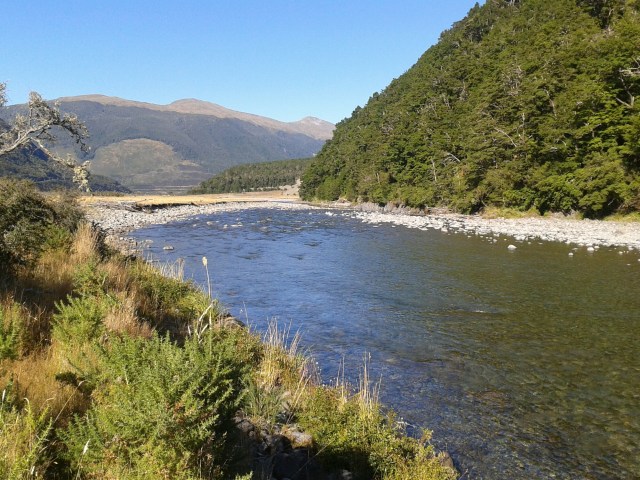 wp-1423775521013 image