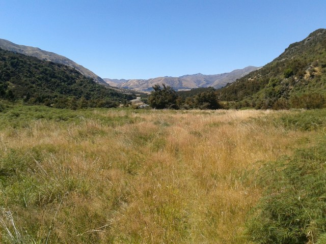 wp-1423775540426 image