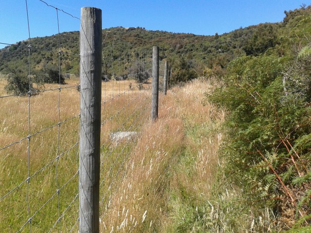 wp-1423775556395 image