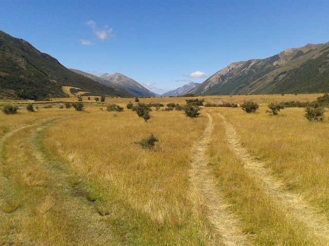 wp-1423784385174 image