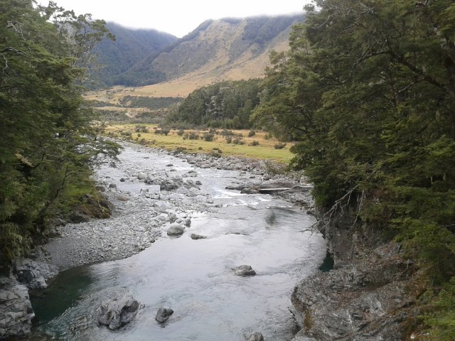 wp-1424065913692 image