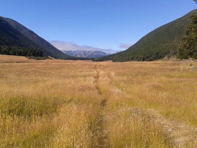 wp-1424065936599 image