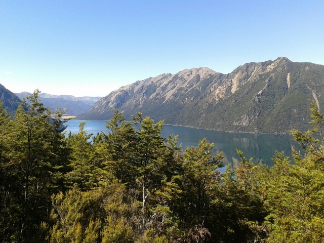 wp-1424065959995 image