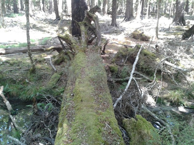 wp-1424066078479 image