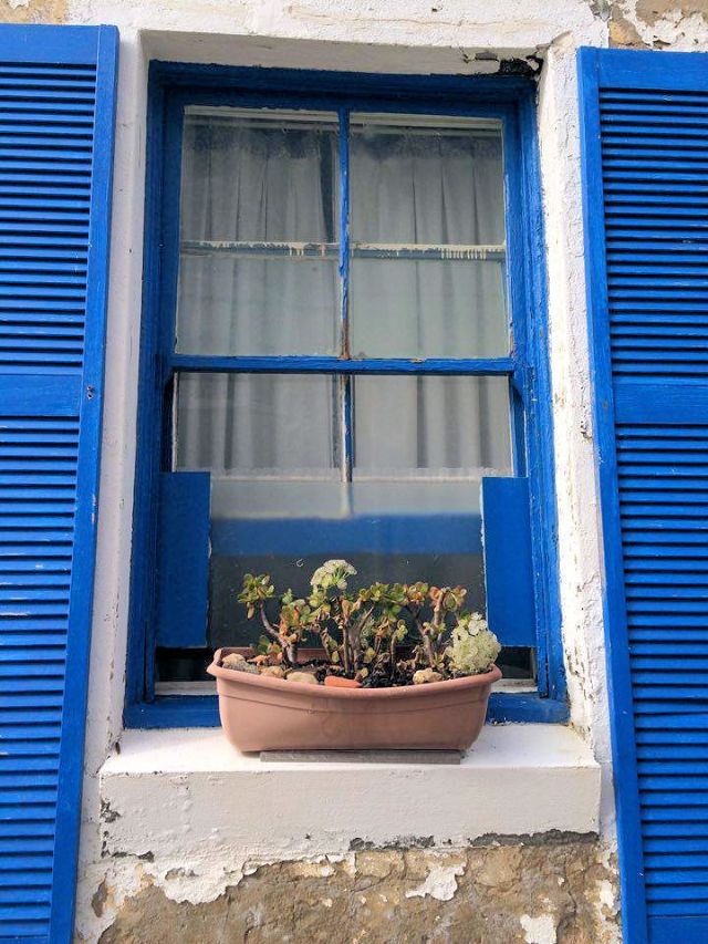 13436120_10153515413306372_1559903979_n