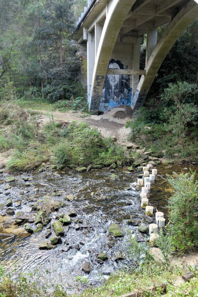 8-Stream Crossing at Galston