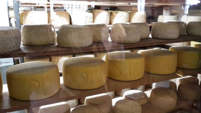 14825567_10211592700361974_1513439297_n