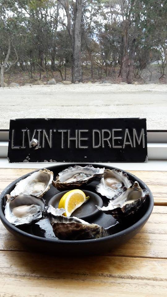 14826408_10211592700161969_1797875801_n